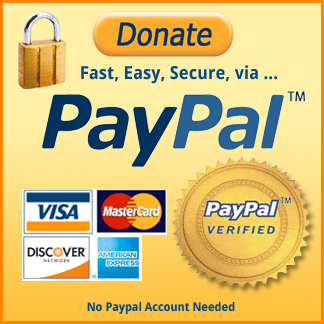 Paypal Donation